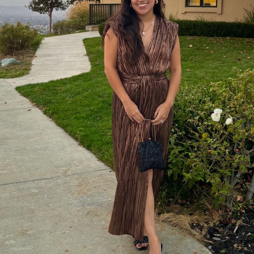 Sabina Musayev Metallic Midi Dress